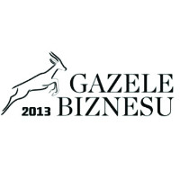 Business Gazellen 2013
